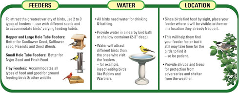 82072 5 (Pack 1) Wagner's Gourmet Nut & Fruit Wild Bird Food, Pound