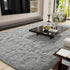 LOCHAS Gray Ultra Soft Indoor Modern Area Rugs 4x5.3 Feet, Fluffy Living Room Carpets for Children Bedroom Nursery Decor