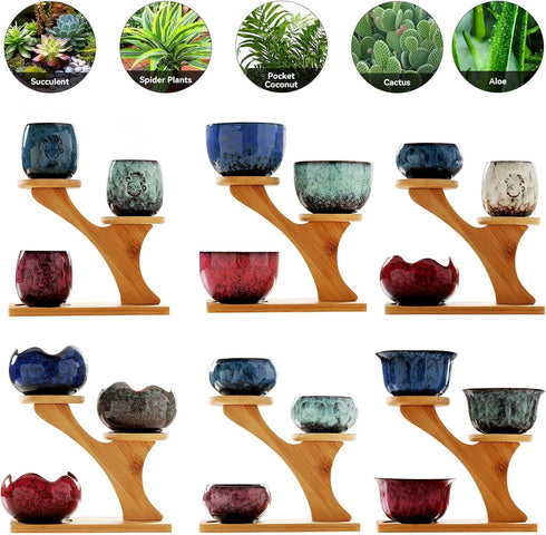 3 (#006) Succulent Pots with Tier Bamboo Saucers Stand Holder Modern Decorative Ceramic Flower Pots with Drainage Mini