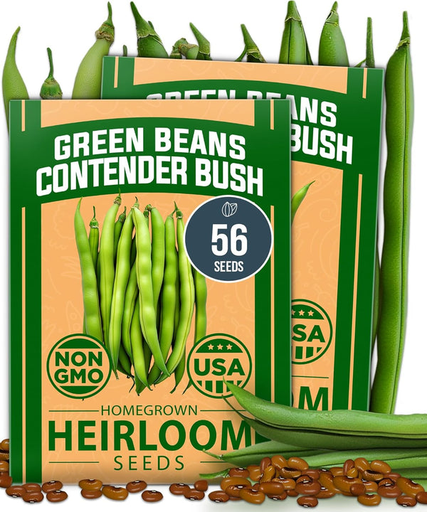 HOME GROWN Contender Bush Bean Seeds 56+ Heirloom Non-GMO, High Germination, Stringless