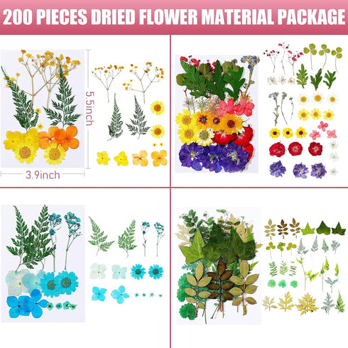 Nuanchu 200 Pcs Dried Pressed Flowers for Crafts, Natural Real Leaves Bulk for DIY Art Jewelry Making