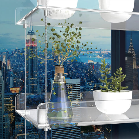 ZerzSemp 2-Tier 16" Acrylic Window Display Shelves Adjustable Clear Racks for Herbs, flowers and Indoor Greenery