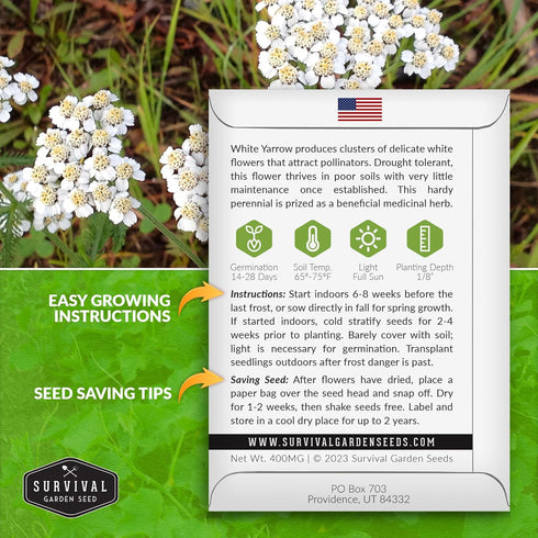 White Yarrow Seeds for Planting - 1 Packet with Instructions to Plant and Grow Beneficial Flowering Herbs in Your Home Vegetable Garden - Non-GMO Heirloom Variety - Survival Garden Seeds by SURVIVAL GARDEN SEEDS