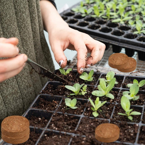 ZeeDix 50pcs Compressed Coco Coir Fiber, 50mm Potting Soil for Indoor and Outdoor Plants