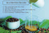 South Indian Filter Coffee Maker, 4-6 Cup Mug Madras Kaapi Kappi Drip Decoction Brewer, Stainless Steel (250 ML)