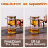 20 oz (600 ml) Enchanted Tea Pot, Magic Tea Pot for Loose Leaf Tea Steeper, Heat Resistant Borosilicate Glass Teapot
