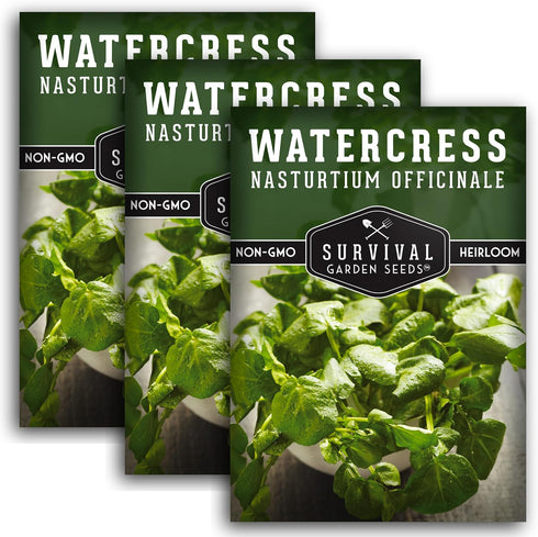 Watercress Seed for Planting - Packet with Instructions to Grow Nasturtium officinale