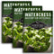 Watercress Seed for Planting - Packet with Instructions to Grow Nasturtium officinale
