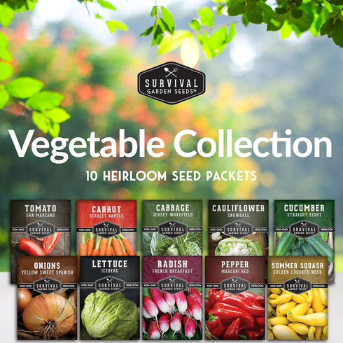 10 Pack Packs Vegetable Seeds for Planting Variety Heirloom Garden Seed to Grow Tomato, Lettuce, Onion, Cucumber