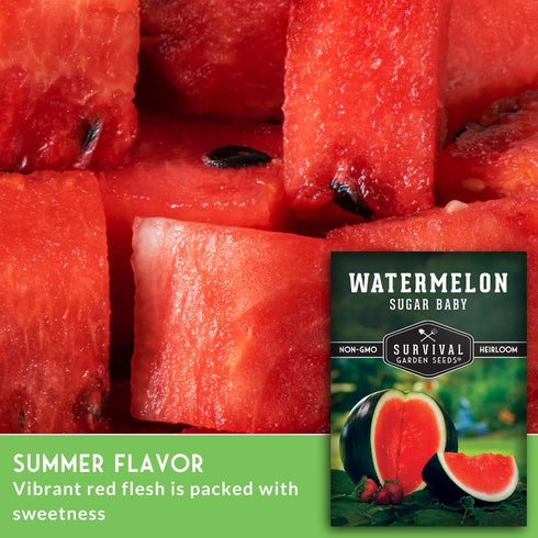 (1 Pack) Sugar Baby Watermelon Seeds - Grow Little Round Icebox Watermelons at Home - Non-GMO Heirloom Variety