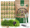 25 Most Popular Herb Seeds Variety Pack - 11,700 Non-GMO Heirloom Seeds