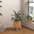 Adhoklop 2 Pack 8-14 Inch Adjustable Plant Stand Indoor for Pots, Heavy-Duty Metal Flower Pot Holder Indoor/Outdoor