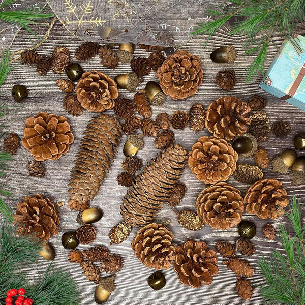 72Pcs Natural Pine Cone Set, Pinecones Acorns Ornaments for Autumn Winter Crafts, Christmas Decor, Bowl Vase Fillers