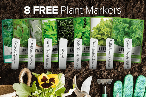 8 Packets Gardeners Basics, Leafy Garden Greens Seeds for Planting Individual - Arugula, Collards, Spinach, Swiss