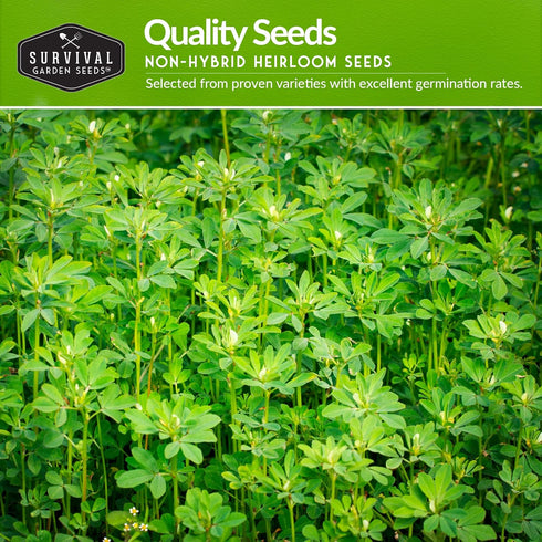 10 Pack Spring Vegetable Seed Collection for Planting | Cool Season Root Vegetables & Leafy Greens, Suitable for Fall