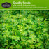 10 Pack Spring Vegetable Seed Collection for Planting | Cool Season Root Vegetables & Leafy Greens, Suitable for Fall