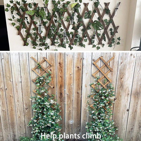 Wooden Lattice Wall-Expandable Plant Garden Trellis for Climbing Plants Outdoor Air Plant Vertical Rack Wall Decor