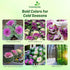 1000 Outsidepride Ornamental Kale Seeds - Pcs. Annual, Easy to Grow & Cold Hardy, Flower Seeds for Planting Edible