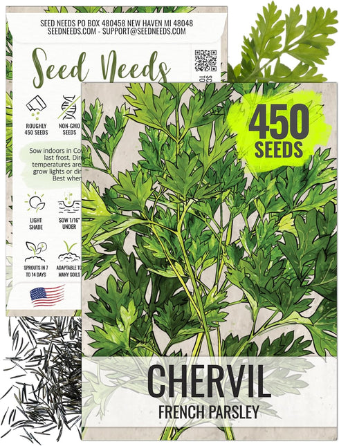 Seed Needs Chervil Seeds for Planting - Non-GMO, Heirloom & Untreated Annual