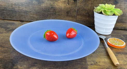 AOYITE 10 inch Plastic Plates Set of 12 - Reusable Lightweight Flat Dinner Plates, BPA Free