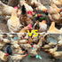 PAMGFCE 7.4 Inch Accessories.1 Hanging Chicken Feeder, Metal Large Chicken Ball Cage,Hen Food Rack, Chicken Feeding