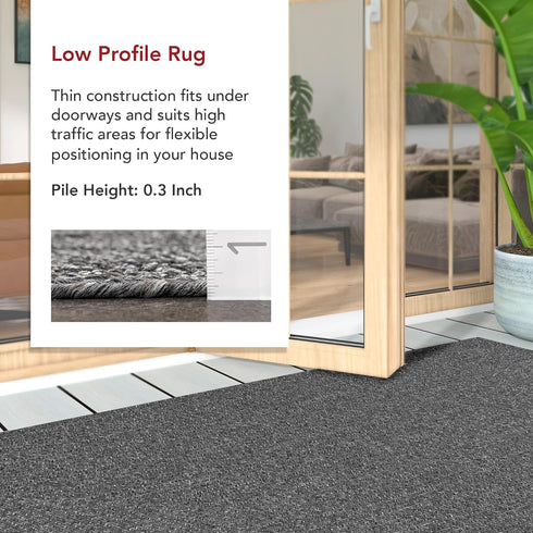 nuLOOM 2' x 3' Hand Braided Indoor/Outdoor Area Rug, Pet-Friendly, Weather Resistant, High Traffic, Wynn Charcoal