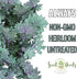 (1 Pack) Seed Needs Kale Seeds for Planting Red Russian Kale Vegetables - Non-GMO Heirloom & Untreated Vegetable Seed