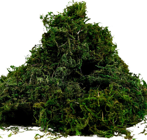 BYHER Artificial Moss Fake Green Grass for Centerpieces, Home Kitchen Garden Decor (3.5OZ, Fresh)