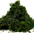 BYHER Artificial Moss Fake Green Grass for Centerpieces, Home Kitchen Garden Decor (3.5OZ, Fresh)