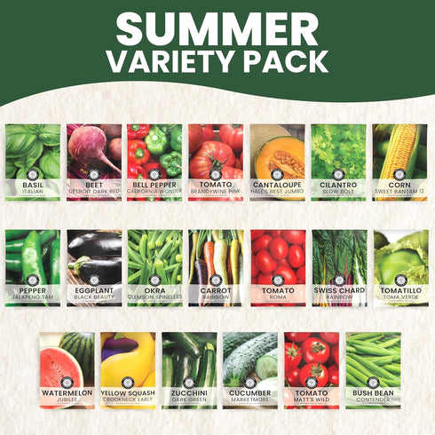 Summer 20 Packs 2026 Garden Seeds | Individual | Season | Non-GMO | Tomatoes, Squash, Melon, Herbs & More! |