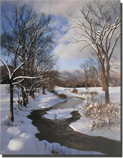 Scenery Winter Stream with Snow Landscape Wall Decor Art Print Poster (16x20)