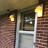 Set Besuerte Mason Jar Wall Sconces of Two, Wall Deco Cute Wall Decor with LED Fairy Lights, Art for Living Room Modern