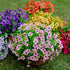 Artificial Flowers for Outdoors, 16 Bundles Faux Boxwood Greenery, No Fade Plastic Shrubs for Home Garden Decor (Pink)