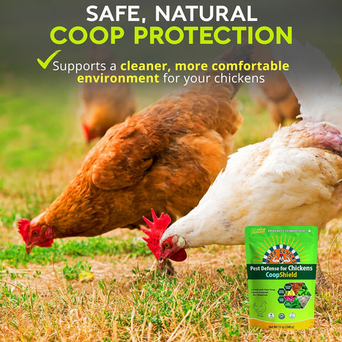 (12 oz) Buff Clucks Dust Bath Herb Blend for Chickens - Keep Feathers Clean & Healthy - Food Grade, Natural Nesting Box