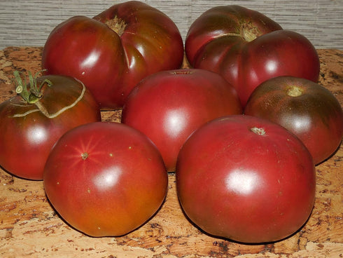 SEEDS4PLANTING Seeds Tomato Black Prince Giant Heirloom Vegetable Non GMO