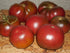 SEEDS4PLANTING Seeds Tomato Black Prince Giant Heirloom Vegetable Non GMO
