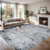 5x7 Area Rugs Living Room Rug - Washable Modern Abstract Soft Neutral Non-Slip Carpet Large Indoor Floor Thin Carpets