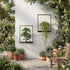 2 Pack Plant Stand Indoor Outdoor Hanging Planters for Indoor Plants Wall Plant Holder for Indoor Plants Plant Frames