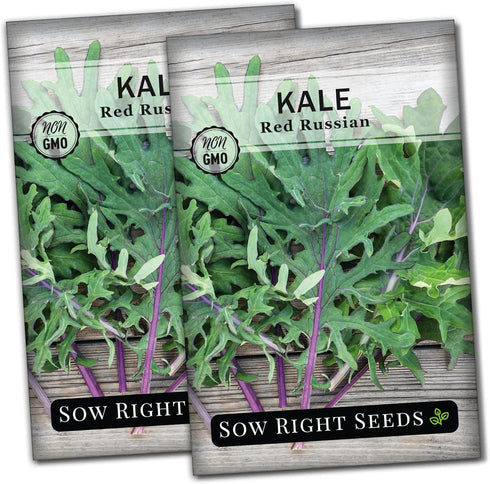 Sow Right Seeds - Red Russian Kale Seeds for Planting - Non-GMO