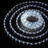WYZworks 25ft LED Outside Rope Lights, 288 LEDs, Waterproof, Connectable, Cool White Christmas Landscape