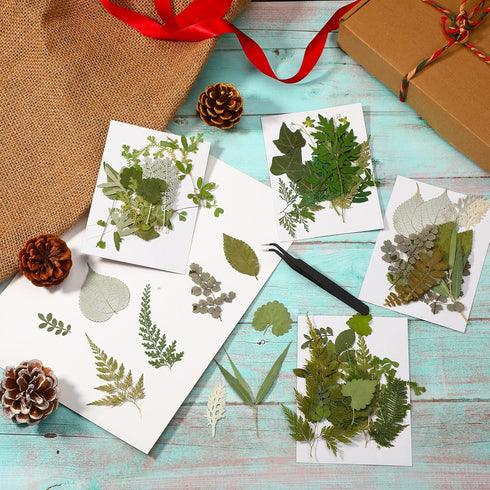 Timtin 84 Pieces Dried Pressed Leaves Flowers for Crafts, Mini Dried Flowers for Art DIY Handmade Bookmarks