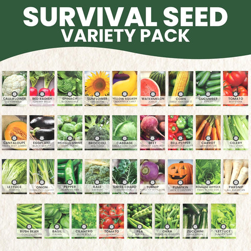 35 Packets Pack 2026 Packed Vegetable Seed | Survival Variety | Season | Individually Vegetables, Herbs and Fruits |