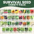 35 Packets Pack 2026 Packed Vegetable Seed | Survival Variety | Season | Individually Vegetables, Herbs and Fruits |