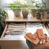 Cedar Blocks for Clothes Storage, 25 pcs Including 15 Hang-ups and 10 Balls, Aromatic Cedar for Closet and Drawers