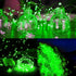 Twinkle Star 33FT 100 LED Silver Wire String Lights, Green Battery Operated Fairy Lights for Christmas Wedding Party