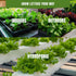 Pack 15 7300+ Lettuce & Salad Greens Seeds Variety Spinach, Kale, Arugula, Romaine & Iceberg Lettuce Varieties, Non-GMO