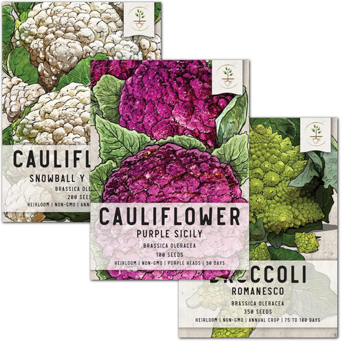 Seed Needs, Cauliflower Seed Packet Collection (3 Varieties of Heirloom Vegetable Seeds
