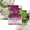 Seed Needs, Cauliflower Seed Packet Collection (3 Varieties of Heirloom Vegetable Seeds