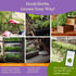25 Pack 13,055+ Culinary Herb Seeds Variety - Non-GMO Heirloom Herbs Seeds for Planting Indoor & Outdoor: Rosemary