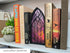 TwoDays Dragon Wing Inspired Book Nook Romantasy Dragon Merch Bookshelf Decor for Book Lovers, Fantasy Gifts